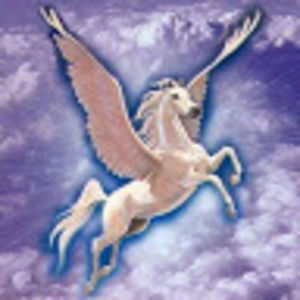 Meet your Posher, Grace petelos